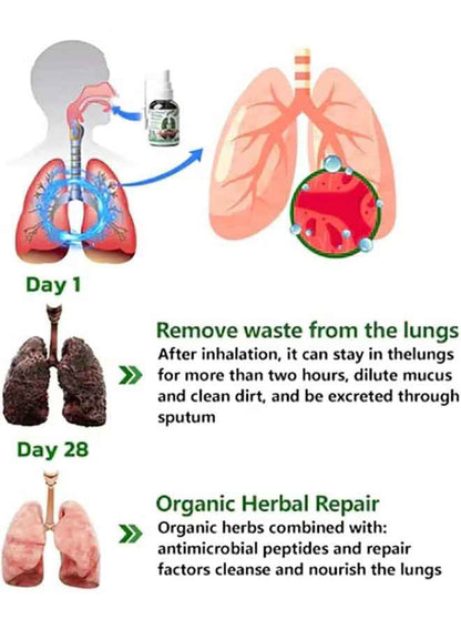 Herbal Lung Cleanse Mist – Natural Respiratory Support Spray